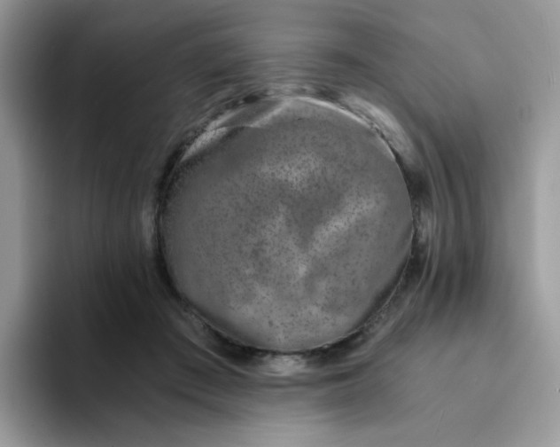 X0000094200409200711091223