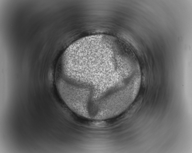 X0000094200410200711091223