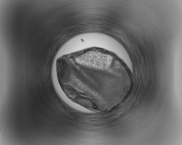 X0000094200411200711091223