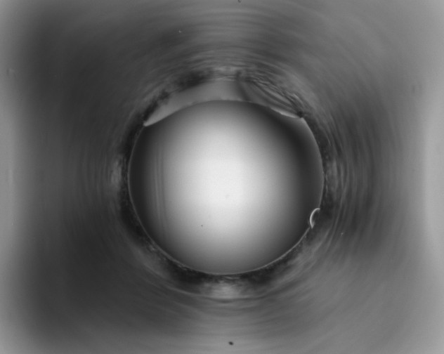 X0000094200412200711091223