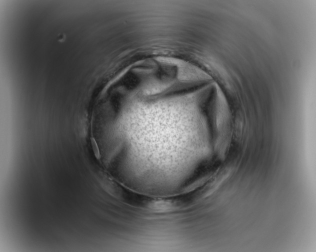 X0000094200413200711091223