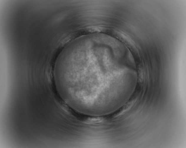 X0000094200414200711091223