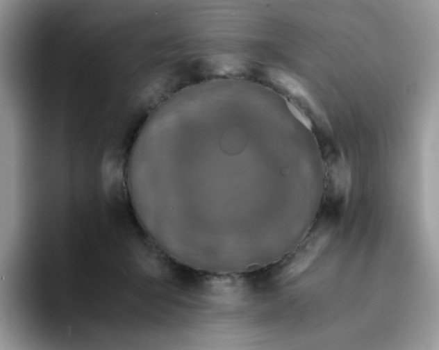 X0000094200415200711091223