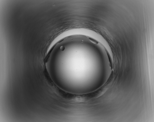 X0000094200416200711091223