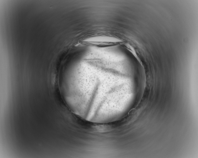 X0000094200417200711091223