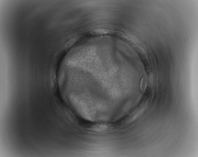 X0000094200418200711091223