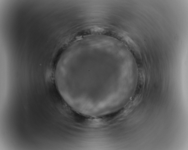 X0000094200419200711091223