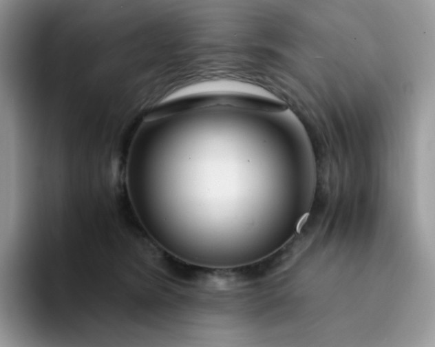 X0000094200420200711091223