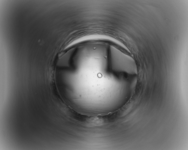 X0000094200421200711091222