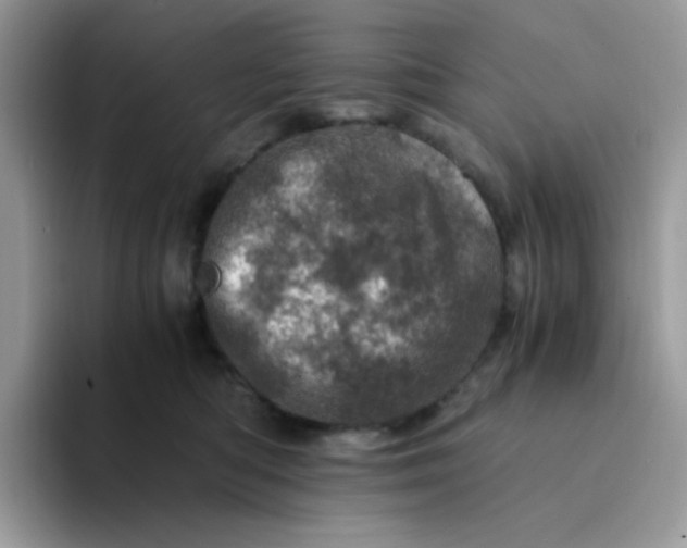 X0000094200422200711091222