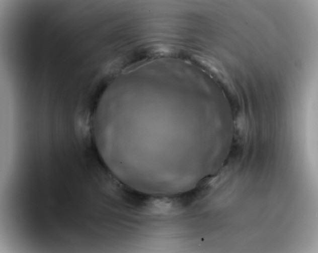 X0000094200423200711091222