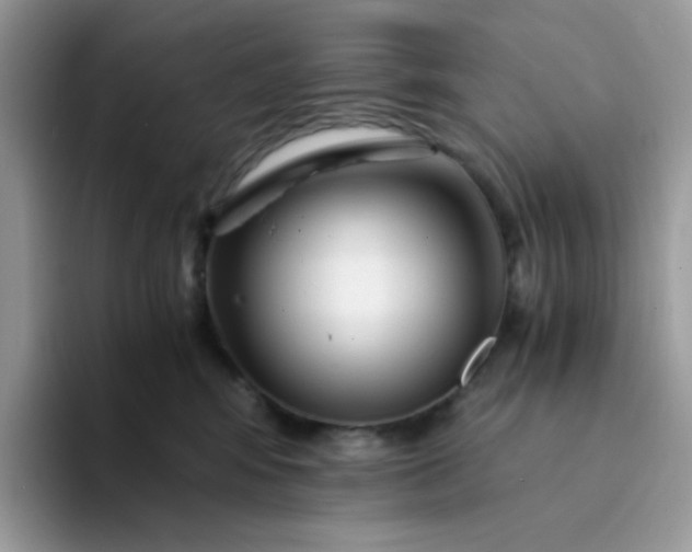 X0000094200424200711091222