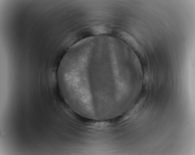 X0000094200426200711091222