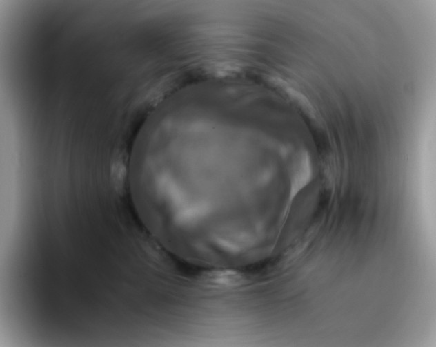 X0000094200427200711091222