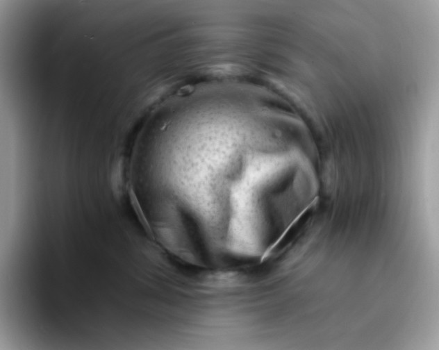 X0000094200428200711091222