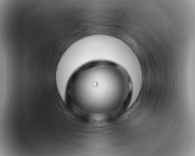 X0000094200429200711091222