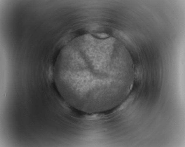 X0000094200430200711091222