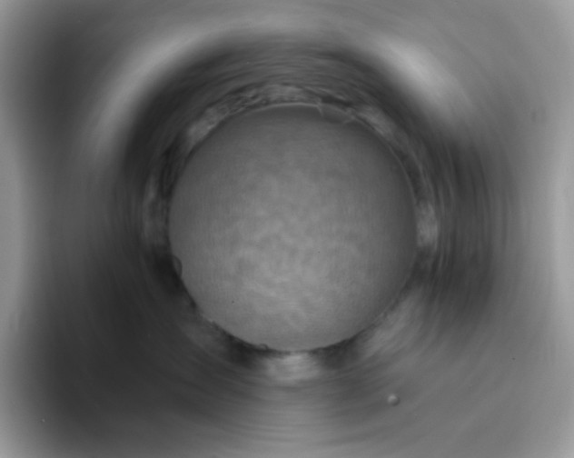 X0000094200431200711091222