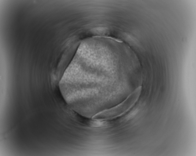 X0000094200432200711091222