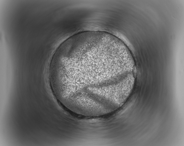 X0000094200433200711091222