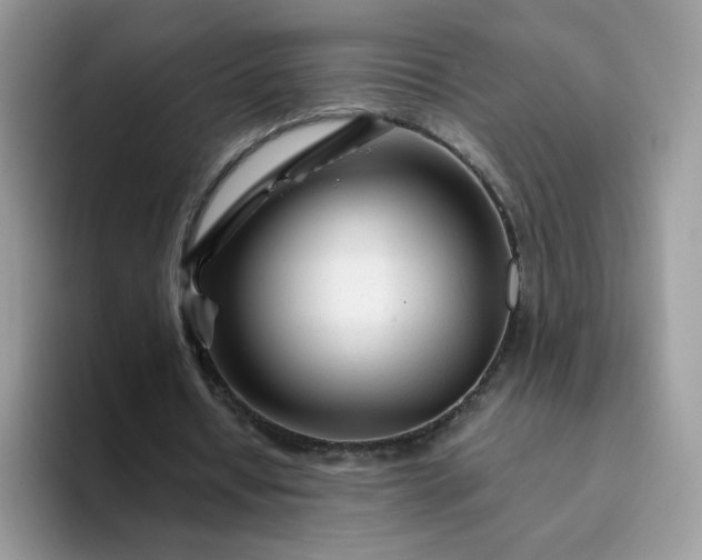 X0000094200434200711091222