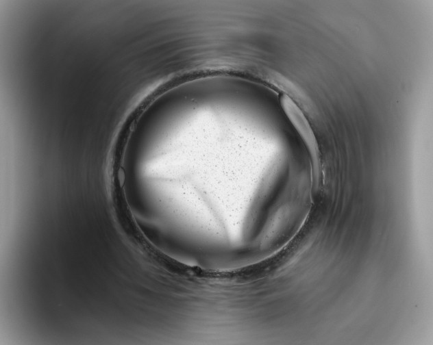 X0000094200436200711091222