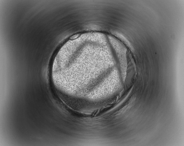 X0000094200439200711091222