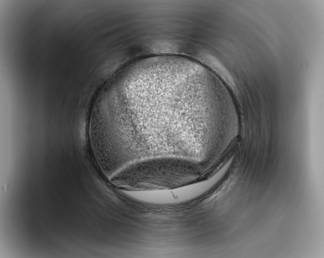 X0000094200441200711091222