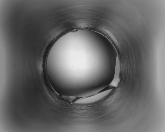 X0000094200443200711091222