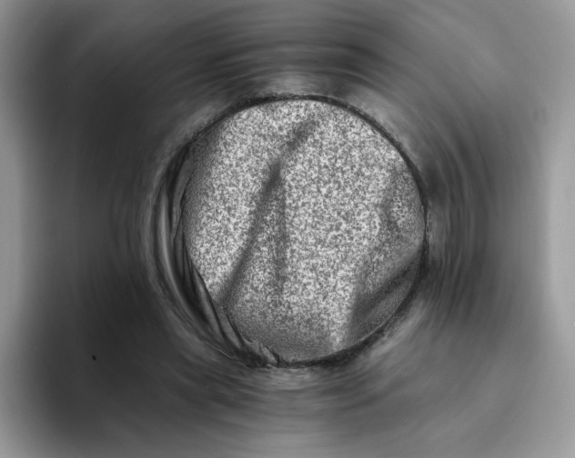 X0000094200445200711091222