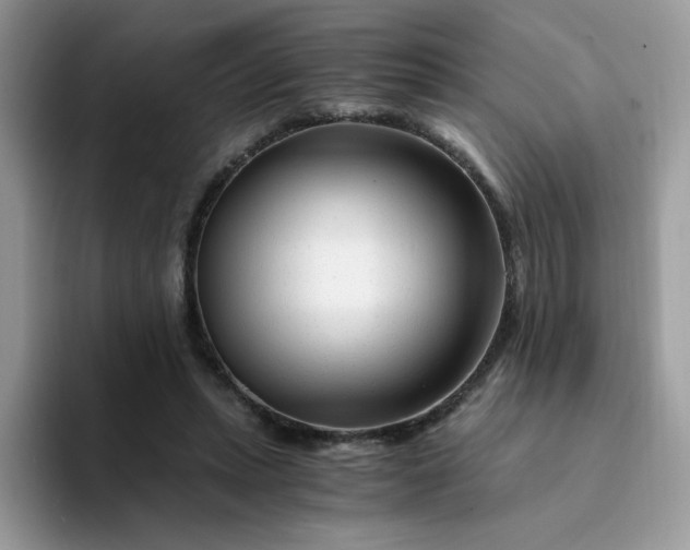 X0000094200447200711091222