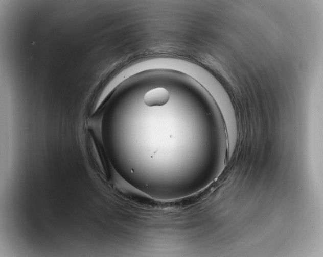 X0000094200448200711091222