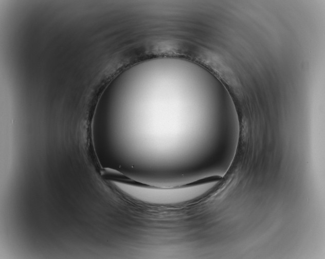 X0000094200449200711091222