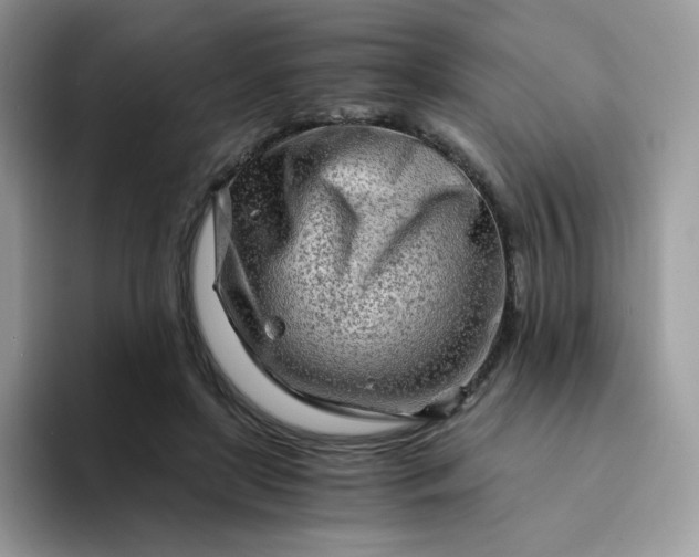 X0000094200451200711091222