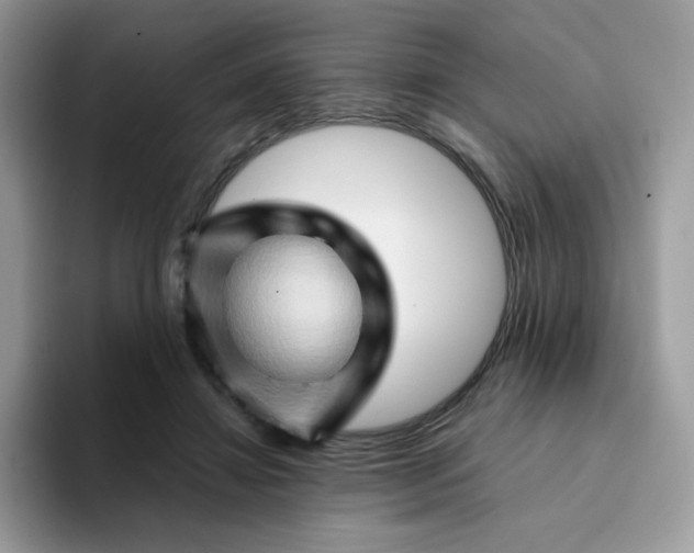 X0000094200452200711091222