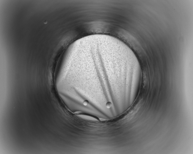 X0000094200453200711091222