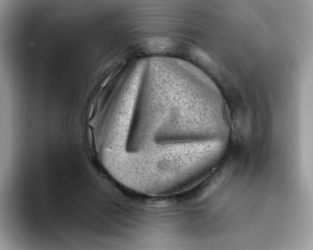 X0000094200454200711091222