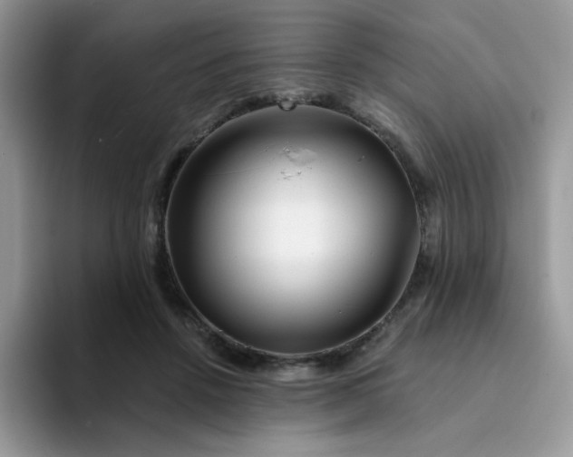 X0000094200456200711091222