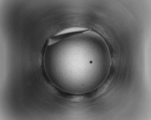 X0000094200458200711091222