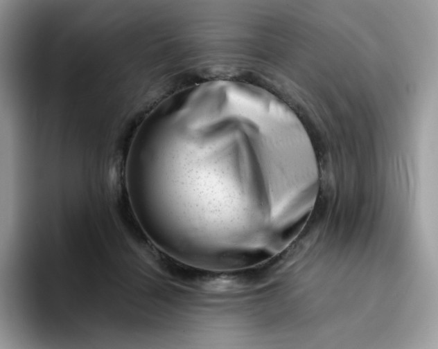 X0000094200460200711091222