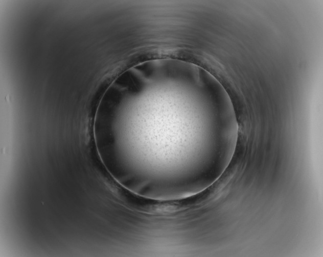 X0000094200462200711091222