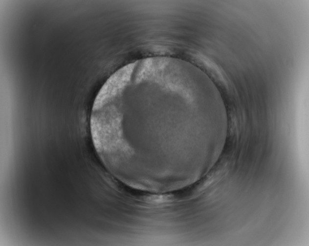 X0000094200465200711091222