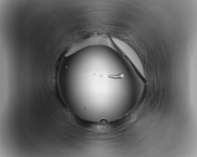 X0000094200466200711091222