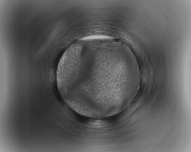 X0000094200467200711091222