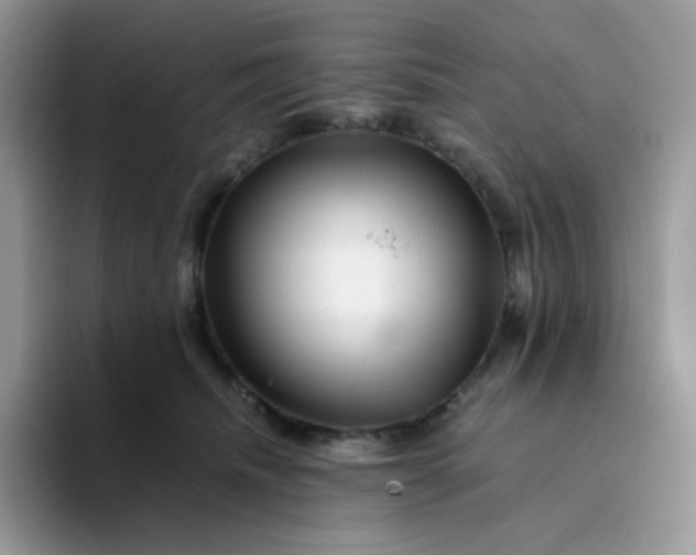 X0000094200468200711091222