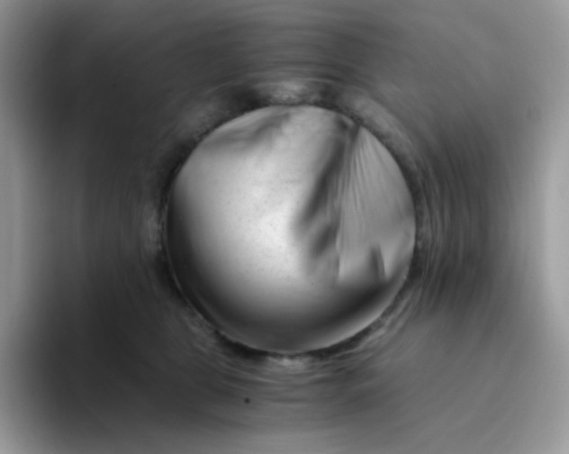 X0000094200469200711091222