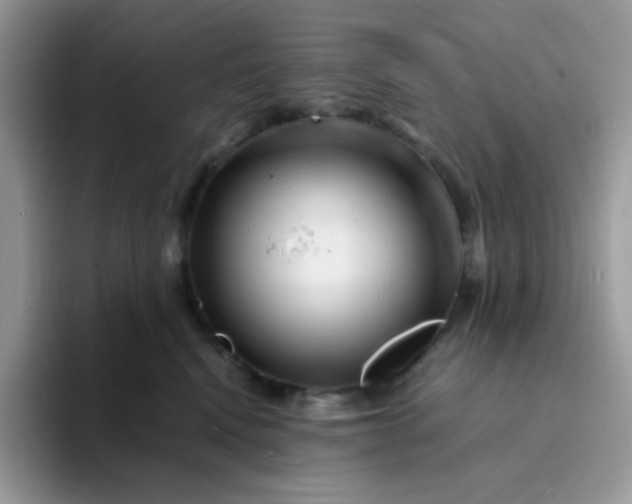 X0000094200472200711091222