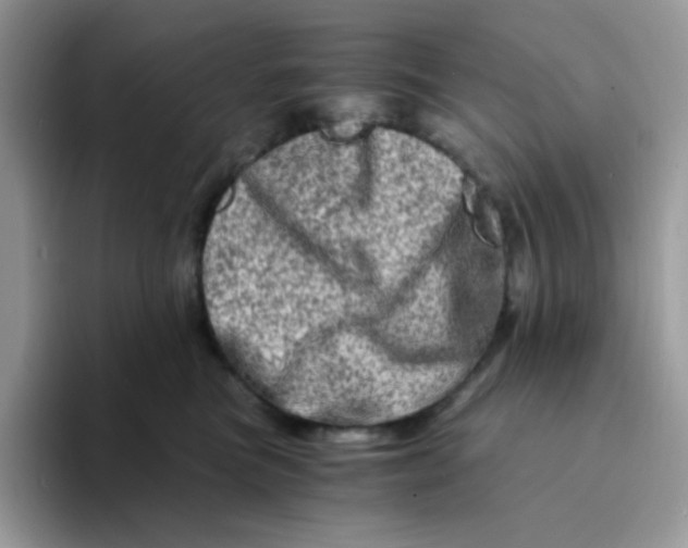 X0000094200473200711091222