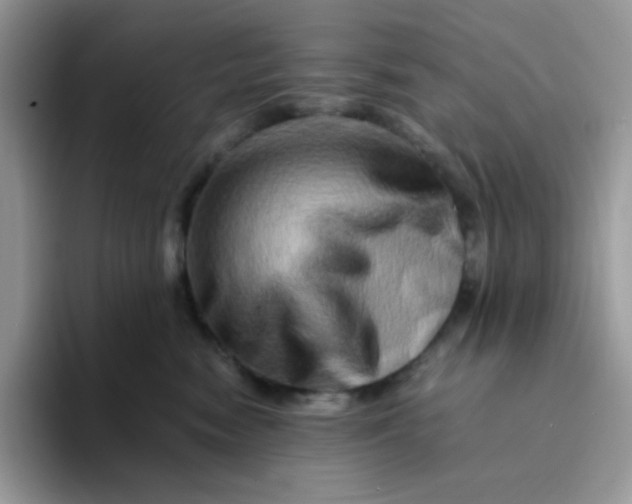 X0000094200474200711091222