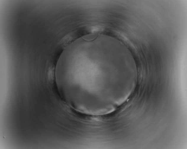 X0000094200475200711091222